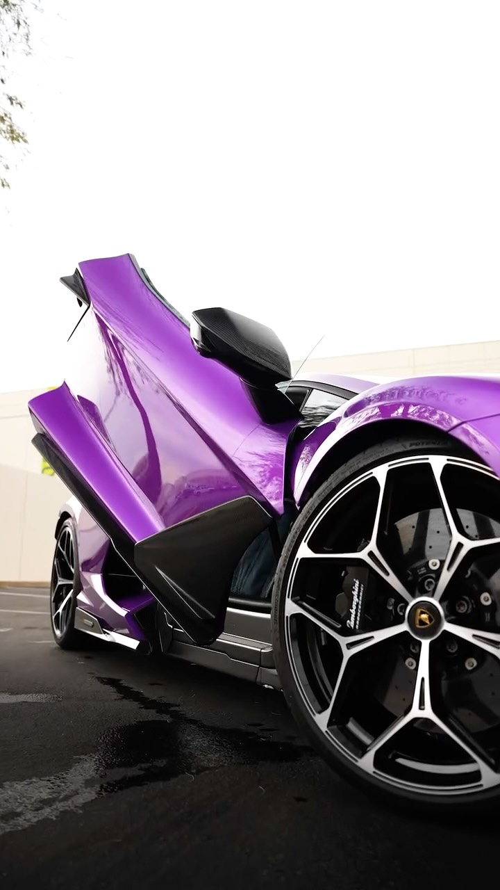 Purple Lamborghini with ceramic coated gloss paint
